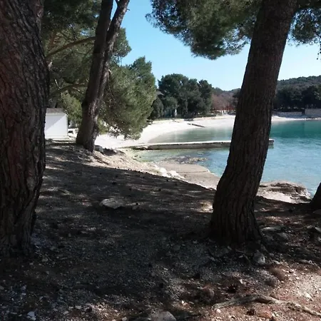 Alluring In Near And Island * Banjole